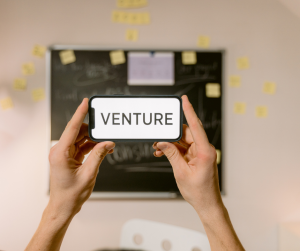 Investigating the Relationship Between Venture Capital Investment and Startup Growth