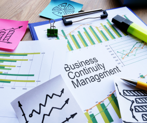 Strategies Adopted by Small Businesses to Manage Crises and Ensure Business Continuity