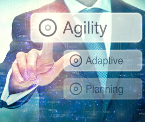 The Adoption of Agile Management Practices in Entrepreneurship and Its Impact on Business Agility